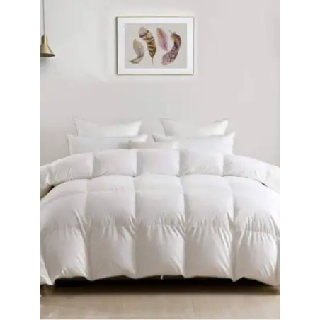 RELLENO NÓRDICO JAPARA-350