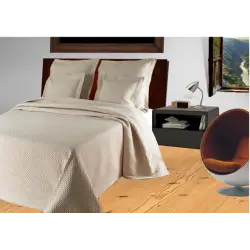 CAPA DE ALMOFADA DONATELLA 558-80%ALG