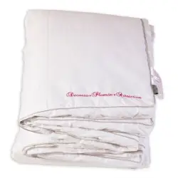 EDREDÓN NÓRDICO ATTRACTION